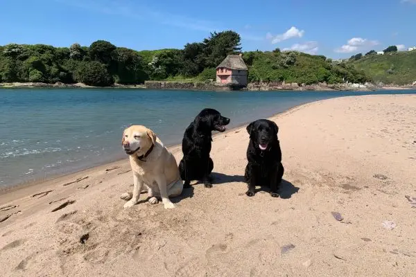 IMG_1748