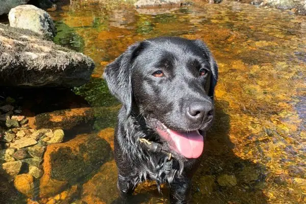 Isla aged 13 months